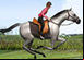 Equitation